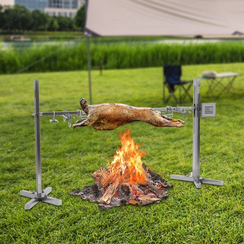 Neu pro grillspieß motor - pro,